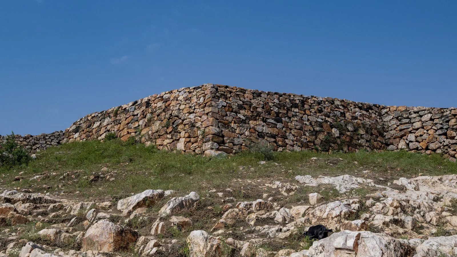 The Cyclopean Wall of ancient Rajagriha at Rajgir, Bihar, a dry-stone fortification of large undressed boulders on a rocky green hillside under a clear blue sky