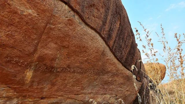 An ancient Tamil-Brahmi inscription carved in a line across a reddish granite boulder at Mangulam near Madurai, with dry grass beside it