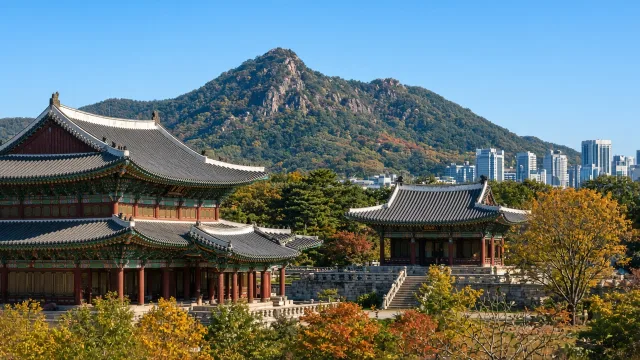 Painted pavilions of Gyeongbokgung Palace with mountains and city towers behind in autumn