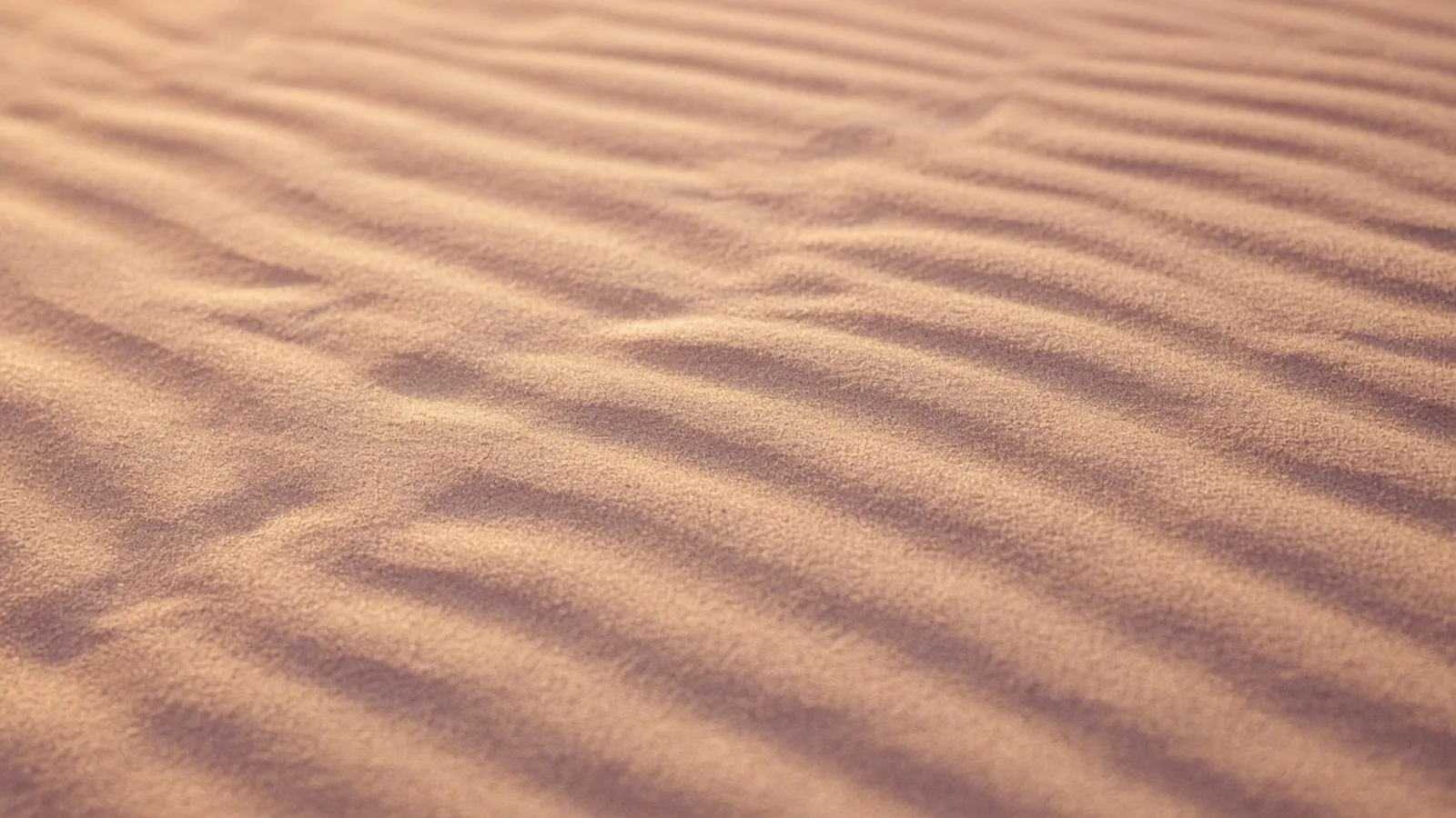 Close-up of fine sand with soft, wavy parallel ripples in warm beige and pink light