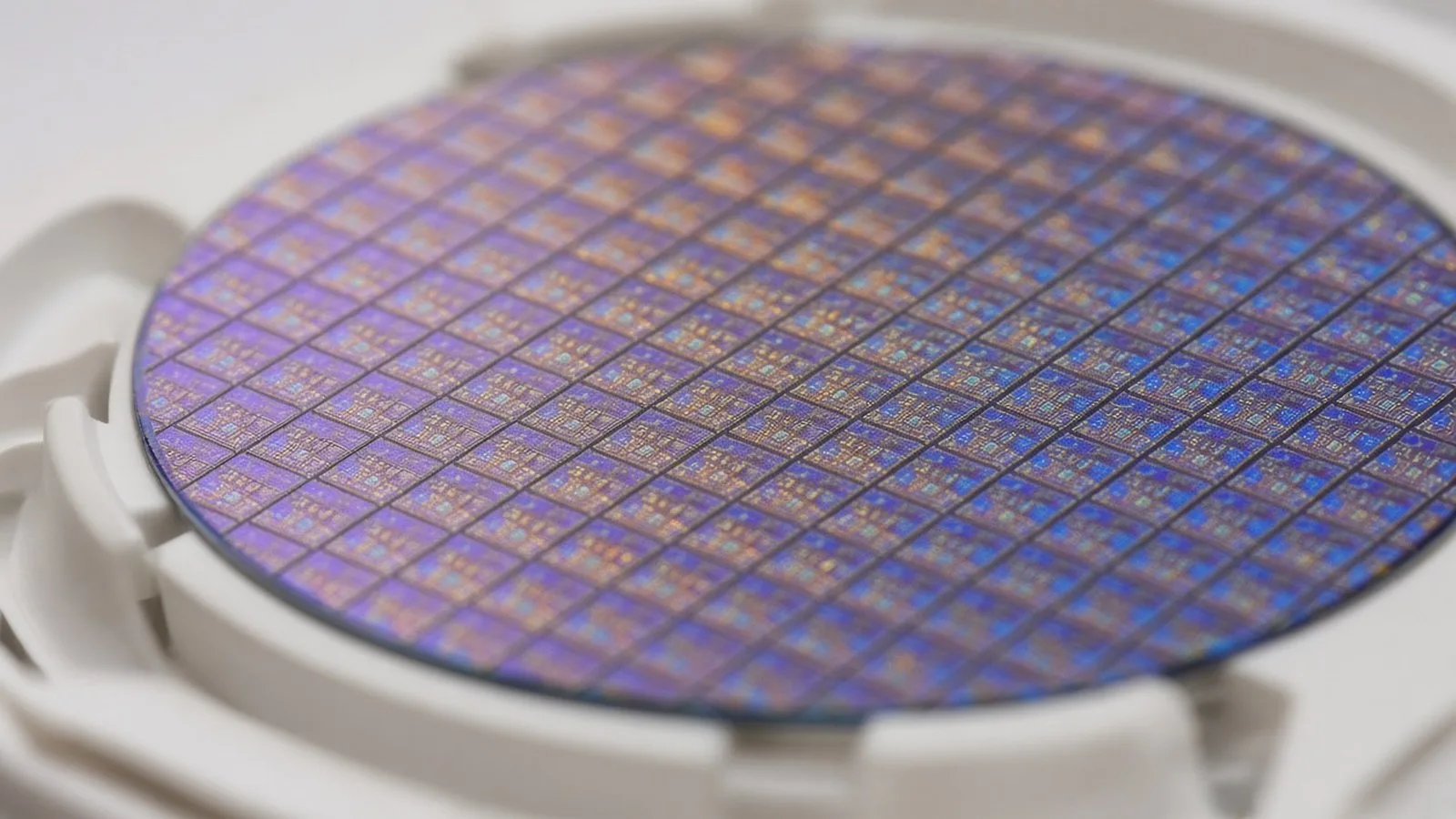 Close-up of a silicon wafer with rows of tiny chip dies shimmering purple, blue and gold in a white holder