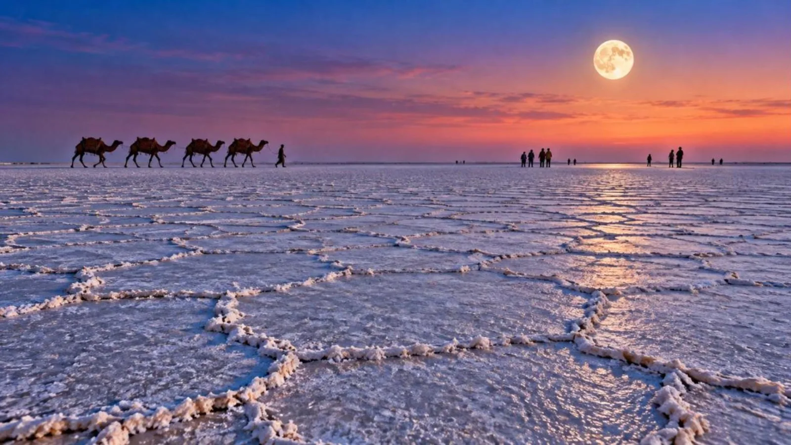 Endless white salt desert of the Rann of Kutch under a full moon